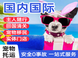 昭通航空快运国际宠物托运 【国